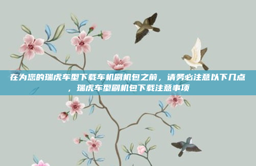 在为您的瑞虎车型下载车机刷机包之前，请务必注意以下几点，瑞虎车型刷机包下载注意事项