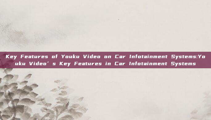 Key Features of Youku Video on Car Infotainment Systems:Youku Video’s Key Features in Car Infotainment Systems