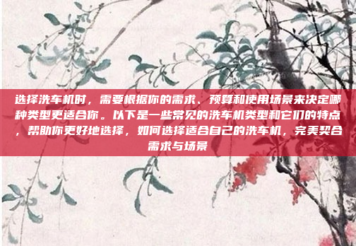 选择洗车机时，需要根据你的需求、预算和使用场景来决定哪种类型更适合你。以下是一些常见的洗车机类型和它们的特点，帮助你更好地选择，如何选择适合自己的洗车机，完美契合需求与场景