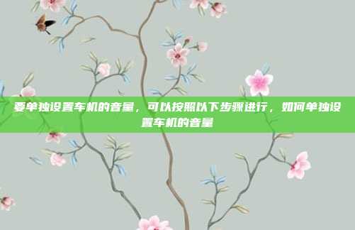 要单独设置车机的音量，可以按照以下步骤进行，如何单独设置车机的音量
