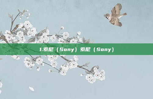 1.索尼（Sony）索尼（Sony）