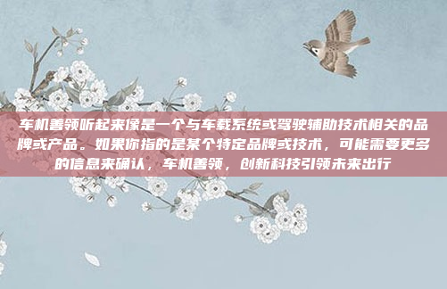 车机善领听起来像是一个与车载系统或驾驶辅助技术相关的品牌或产品。如果你指的是某个特定品牌或技术，可能需要更多的信息来确认，车机善领，创新科技引领未来出行