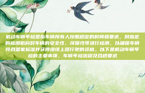 机动车辆年检是指车辆所有人按照规定的时间和要求，到指定的检测机构对车辆的安全性、环保性等进行检测，以确保车辆符合国家标准并获得继续上路行驶的资格。以下是机动车辆年检的主要事项，车辆年检流程及合规要求