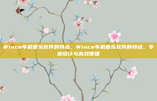 Wince车机音乐软件的特点，Wince车机音乐软件的特点，专业设计与高效便捷