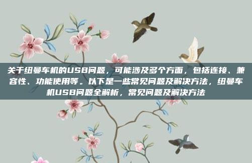 关于纽曼车机的USB问题，可能涉及多个方面，包括连接、兼容性、功能使用等。以下是一些常见问题及解决方法，纽曼车机USB问题全解析，常见问题及解决方法
