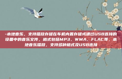 -本地音乐，支持播放存储在车机内置存储或通过USB连接的设备中的音乐文件，格式包括MP3、WMA、FLAC等，本地音乐播放，支持多种格式及USB连接
