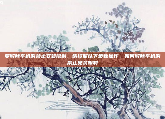 要解除车机的禁止安装限制，请按照以下步骤操作，如何解除车机的禁止安装限制