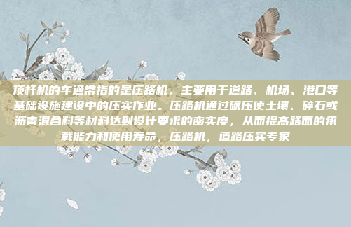 顶杆机的车通常指的是压路机，主要用于道路、机场、港口等基础设施建设中的压实作业。压路机通过碾压使土壤、碎石或沥青混合料等材料达到设计要求的密实度，从而提高路面的承载能力和使用寿命，压路机，道路压实专家