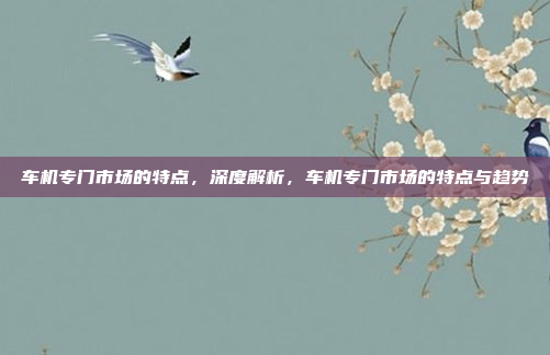 车机专门市场的特点，深度解析，车机专门市场的特点与趋势