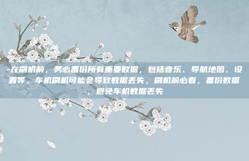 -在刷机前，务必备份所有重要数据，包括音乐、导航地图、设置等。车机刷机可能会导致数据丢失，刷机前必看，备份数据，避免车机数据丢失