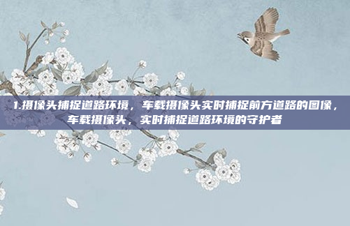 1.摄像头捕捉道路环境，车载摄像头实时捕捉前方道路的图像，车载摄像头，实时捕捉道路环境的守护者