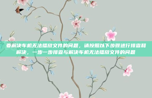 要解决车机无法播放文件的问题，请按照以下步骤进行排查和解决，一步一步排查与解决车机无法播放文件的问题