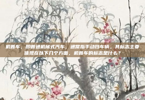 机普车，即普通机械式汽车，通常指手动挡车辆。其标志主要体现在以下几个方面，机普车的标志是什么？