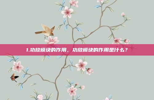 1.功放模块的作用，功放模块的作用是什么？