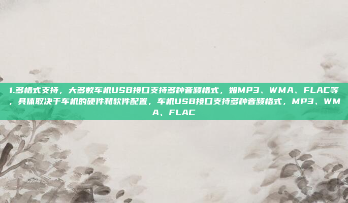 1.多格式支持，大多数车机USB接口支持多种音频格式，如MP3、WMA、FLAC等，具体取决于车机的硬件和软件配置，车机USB接口支持多种音频格式，MP3、WMA、FLAC