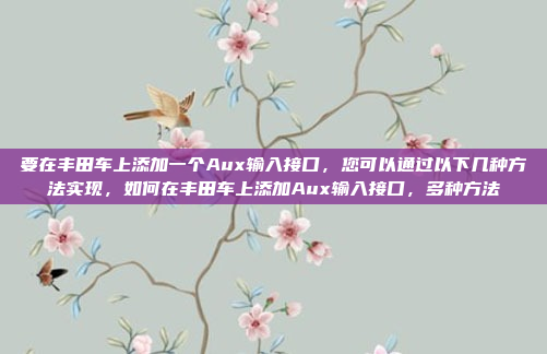 要在丰田车上添加一个Aux输入接口,您可以通过以下几种方法实现,如何在丰田车上添加Aux输入接口,多种方法