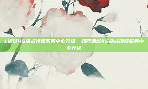 1.通过4S店或授权服务中心升级，如何通过4S店或授权服务中心升级