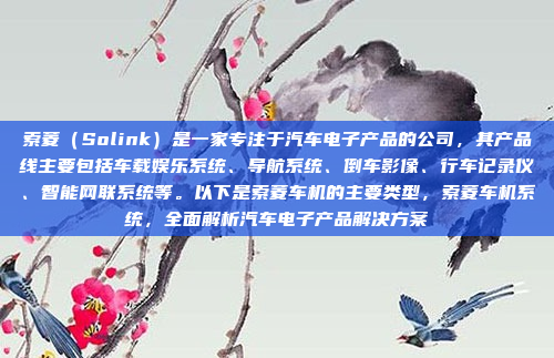 索菱（Solink）是一家专注于汽车电子产品的公司，其产品线主要包括车载娱乐系统、导航系统、倒车影像、行车记录仪、智能网联系统等。以下是索菱车机的主要类型，索菱车机系统，全面解析汽车电子产品解决方案