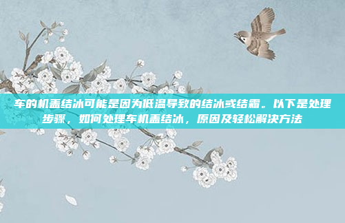 汽车压缩机的工作原理及应用分析,汽车压缩机的工作原理及应用分析