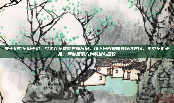 关于小型车瓜子机，可能存在两种理解方向，以下分别说明并提供建议，小型车瓜子机，两种理解方向解析与建议