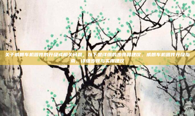 关于威朗车机固件的升级或相关问题,以下是详细的步骤和建议,威朗车机固件升级指南,详细步骤与实用建议