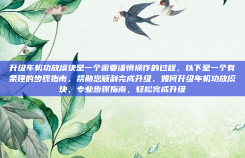 升级车机功放模块是一个需要谨慎操作的过程，以下是一个有条理的步骤指南，帮助您顺利完成升级，如何升级车机功放模块，专业步骤指南，轻松完成升级
