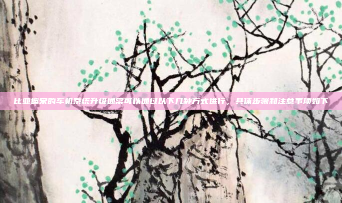 比亚迪宋的车机系统升级通常可以通过以下几种方式进行,具体步骤和注意事项如下