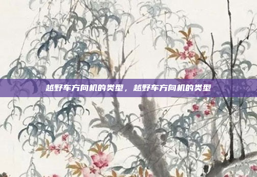 越野车方向机的类型，越野车方向机的类型