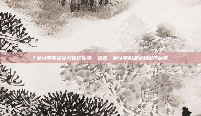 1.确认车机型号和固件版本，步骤，确认车机型号和固件版本