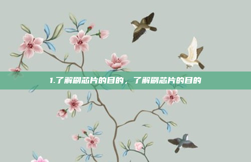 1.了解刷芯片的目的，了解刷芯片的目的