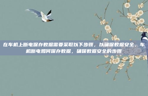 安装过程可能需要连接摄像头或雷达到车内的电脑，然后通过应用进行设置。可能需要一些权限，比如摄像头权限，安装完成后可能需要定期更新软件，以保持功能正常，安装过程，连接摄像头、设置应用并管理权限与更新