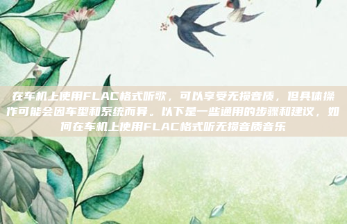 在车机上使用FLAC格式听歌，可以享受无损音质，但具体操作可能会因车型和系统而异。以下是一些通用的步骤和建议，如何在车机上使用FLAC格式听无损音质音乐