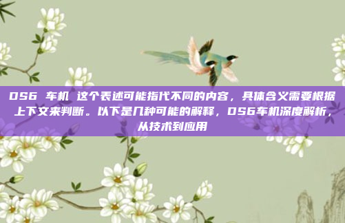 DS6 车机 这个表述可能指代不同的内容，具体含义需要根据上下文来判断。以下是几种可能的解释，DS6车机深度解析，从技术到应用