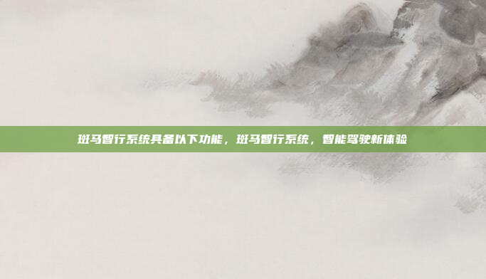 斑马智行系统具备以下功能，斑马智行系统，智能驾驶新体验