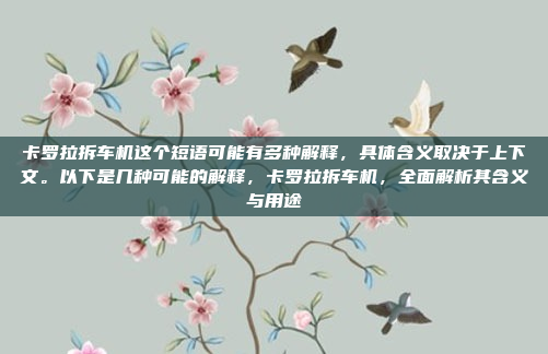卡罗拉拆车机这个短语可能有多种解释，具体含义取决于上下文。以下是几种可能的解释，卡罗拉拆车机，全面解析其含义与用途