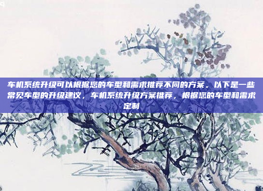 车机系统升级可以根据您的车型和需求推荐不同的方案。以下是一些常见车型的升级建议，车机系统升级方案推荐，根据您的车型和需求定制