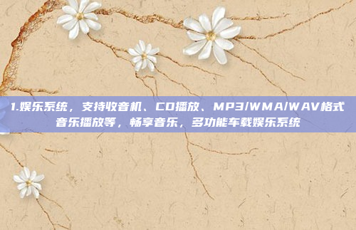 1.娱乐系统,支持收音机、CD播放、MP3/WMA/WAV格式音乐播放等,畅享音乐,多功能车载娱乐系统