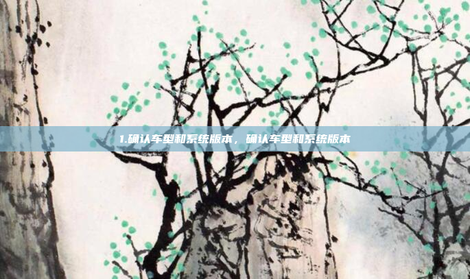 1.确认车型和系统版本,确认车型和系统版本