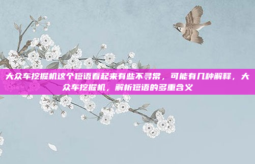 大众车挖掘机这个短语看起来有些不寻常，可能有几种解释，大众车挖掘机，解析短语的多重含义