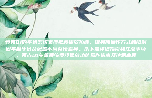 领克01的车机系统支持视频播放功能,但具体操作方式和限制因车型年份及配置不同有所差异。以下是详细指南和注意事项,领克01车机系统视频播放功能操作指南及注意事项