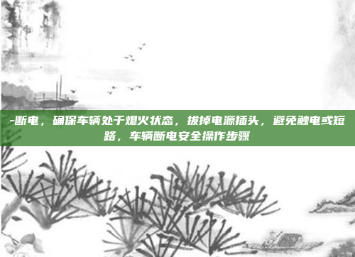 -断电，确保车辆处于熄火状态，拔掉电源插头，避免触电或短路，车辆断电安全操作步骤
