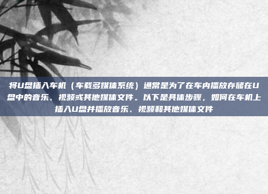 将U盘插入车机（车载多媒体系统）通常是为了在车内播放存储在U盘中的音乐、视频或其他媒体文件。以下是具体步骤，如何在车机上插入U盘并播放音乐、视频和其他媒体文件