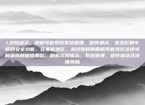 1.风险提示，刷机可能导致系统崩溃、硬件损坏，甚至影响车辆的安全功能。在某些地区，未经授权的刷机可能违反法律或制造商的保修条款，刷机风险提示，系统崩溃、硬件损坏及法律风险