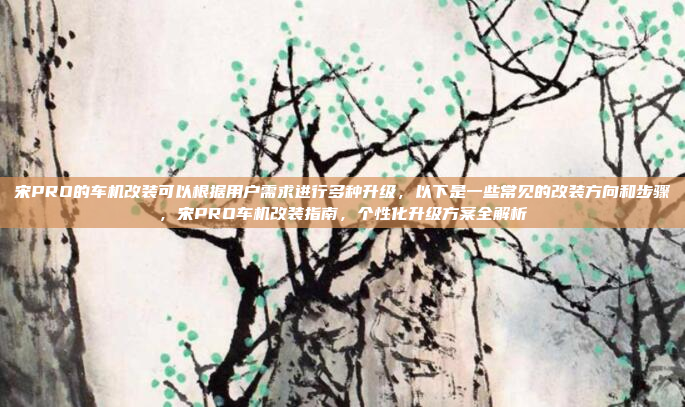 宋PRO的车机改装可以根据用户需求进行多种升级，以下是一些常见的改装方向和步骤，宋PRO车机改装指南，个性化升级方案全解析