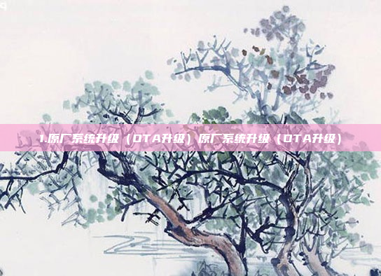 1.原厂系统升级（OTA升级）原厂系统升级（OTA升级）