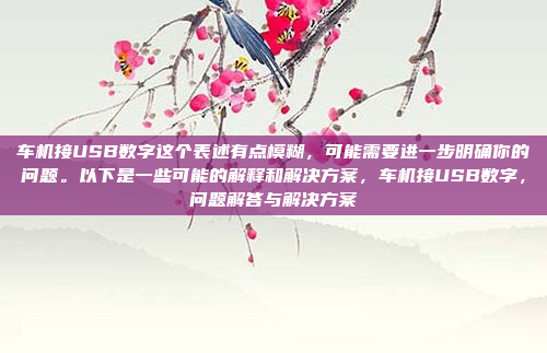 车机接USB数字这个表述有点模糊,可能需要进一步明确你的问题。以下是一些可能的解释和解决方案,车机接USB数字,问题解答与解决方案