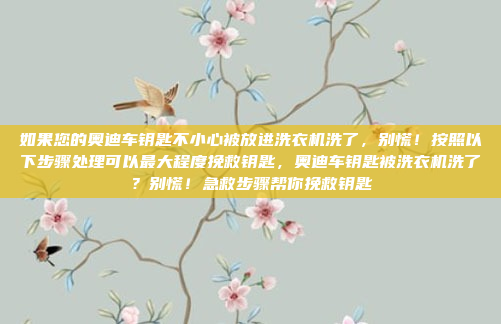 如果您的奥迪车钥匙不小心被放进洗衣机洗了，别慌！按照以下步骤处理可以最大程度挽救钥匙，奥迪车钥匙被洗衣机洗了？别慌！急救步骤帮你挽救钥匙