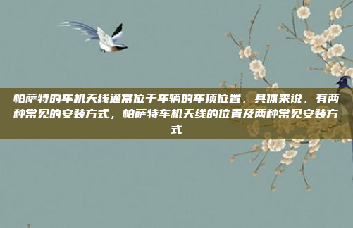帕萨特的车机天线通常位于车辆的车顶位置,具体来说,有两种常见的安装方式,帕萨特车机天线的位置及两种常见安装方式
