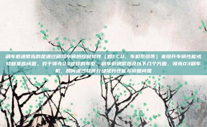 刷车机通常指的是通过刷写车辆的控制软件（如ECU、车机系统等）来提升车辆性能或修复某些问题。对于领克03这样的车型，刷车机通常涉及以下几个方面，领克03刷车机，如何通过软件升级提升性能与修复问题