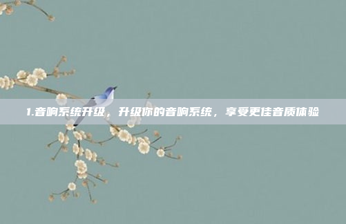 1.音响系统升级，升级你的音响系统，享受更佳音质体验